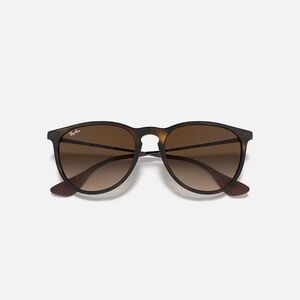 Ray-Ban Erika Classic Sunglasses
